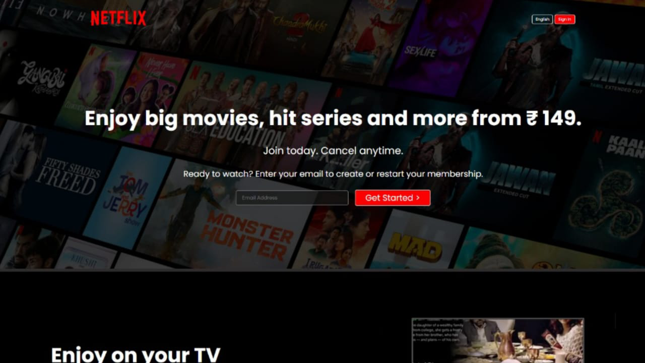 Screenshot of a custom-built netflix clone platform
